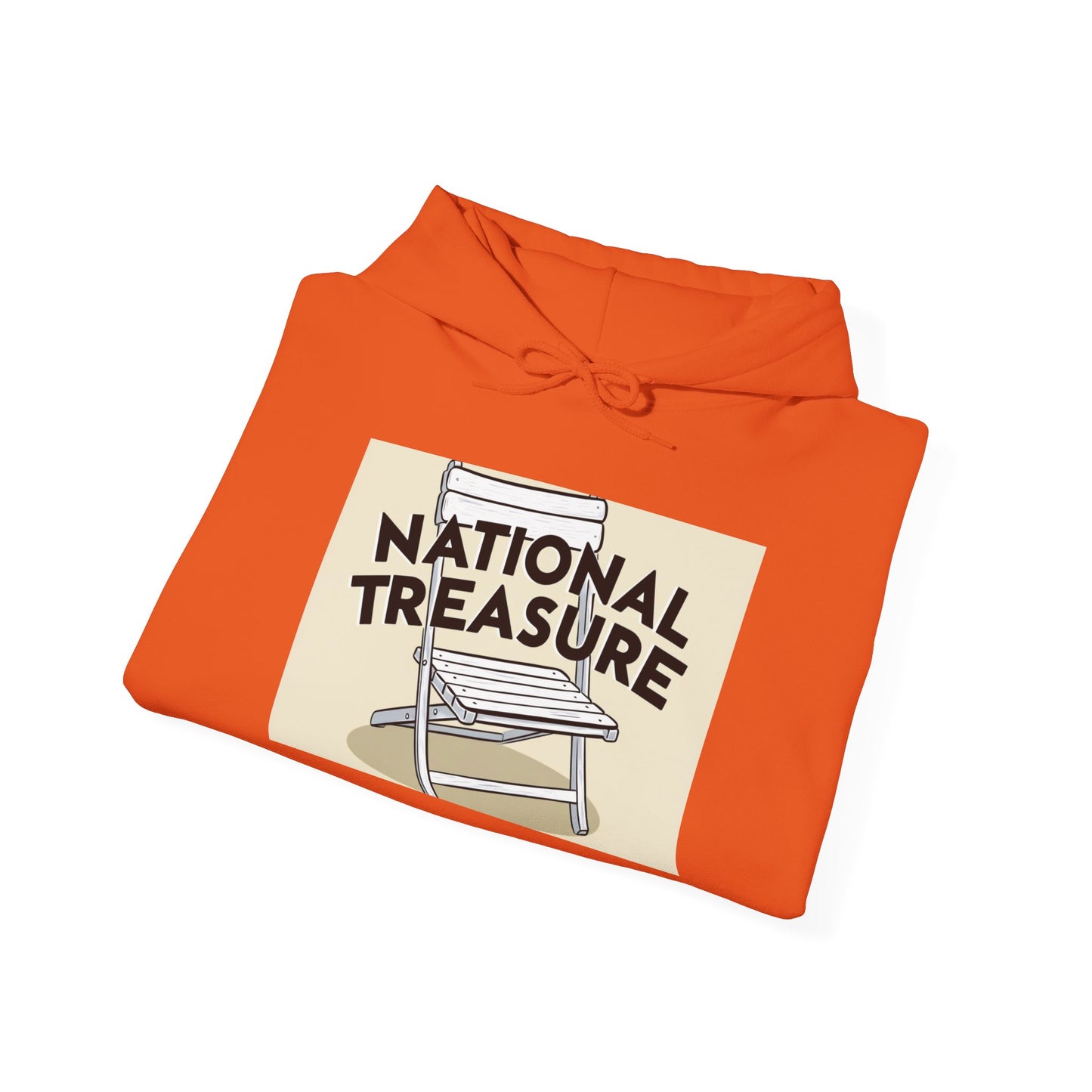 National Treasure Unisex Hoodie