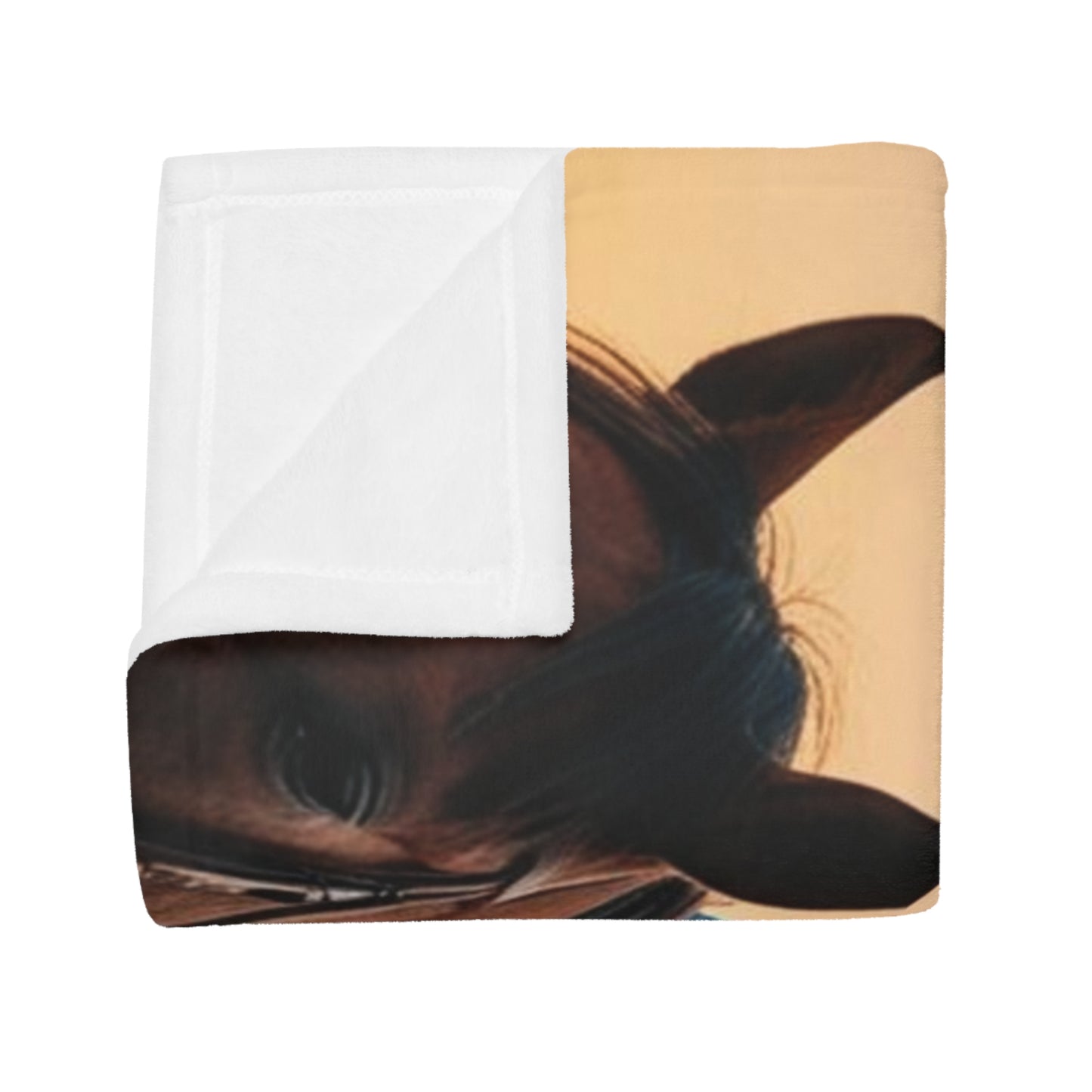 Pay Homage Plush Fleece Blanket