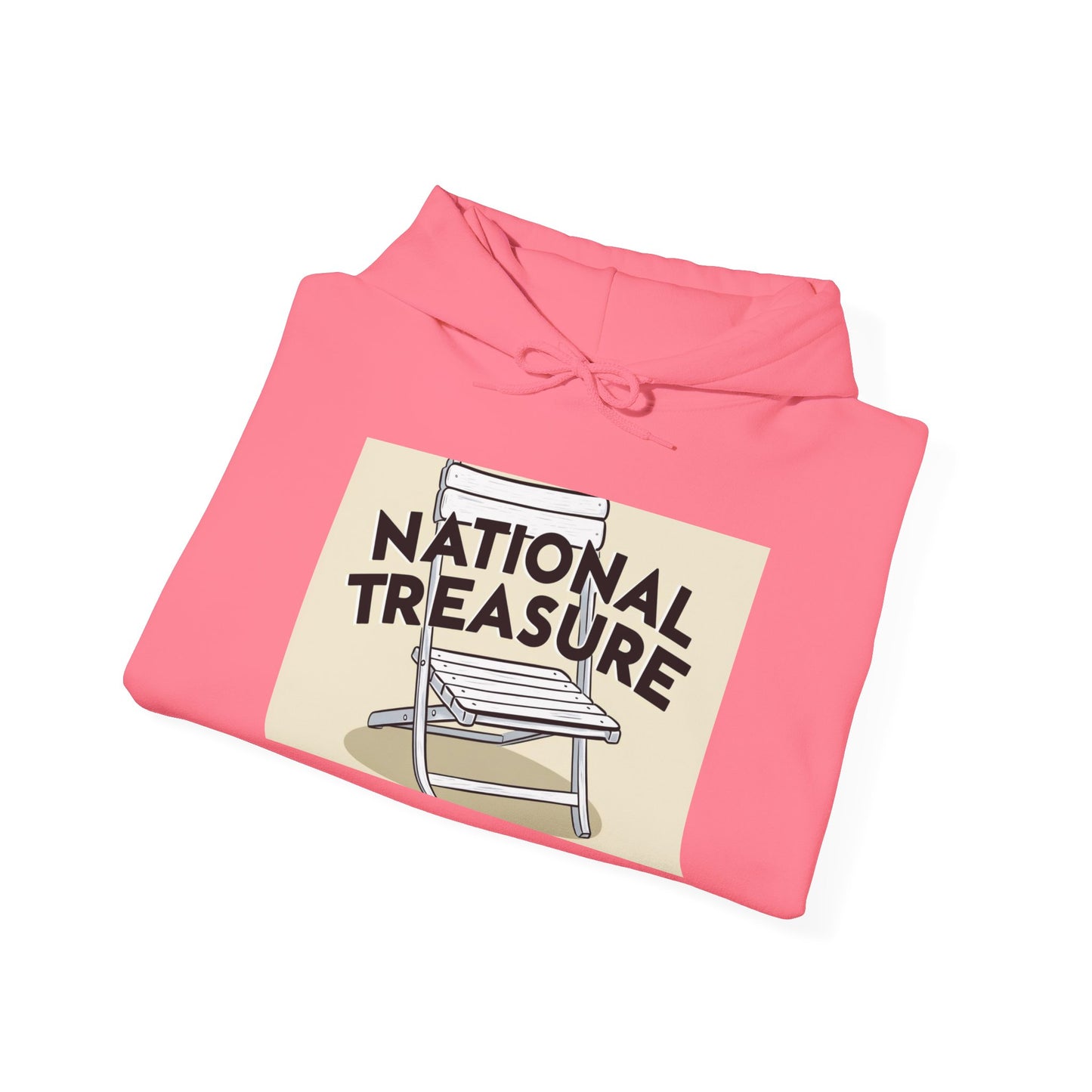 National Treasure Unisex Hoodie
